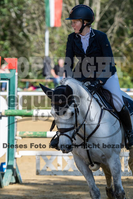 RFV Dinslaken-Hiesfeld (Herbstturnier)