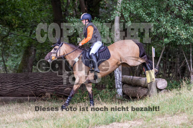 Late-Entry Vielseitigkeit Hamminkeln/Wesel (01.+02.08.2020)