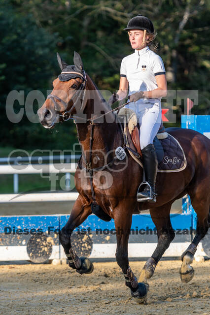 RFV Dinslaken-Hiesfeld (Herbstturnier)