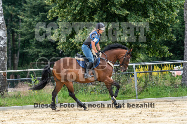 Hunter Geländetraining 10.07.2021 (Sonsbeck)