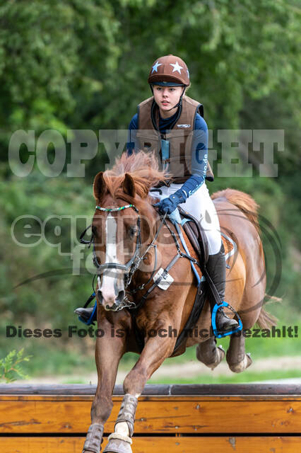 Late-Entry-Vielseitigkeit Langenfeld (06.+07.07.2020)