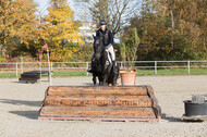 IGV Lehrgang der Sieger der Cups mit Frank Ostholt