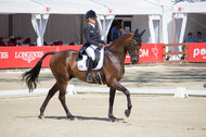 FEI European Championship Eventing 2017