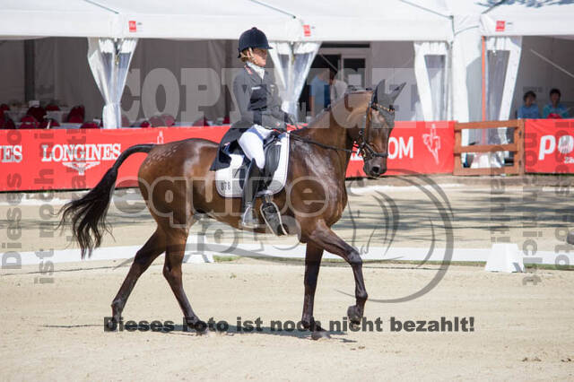 FEI European Championship Eventing 2017