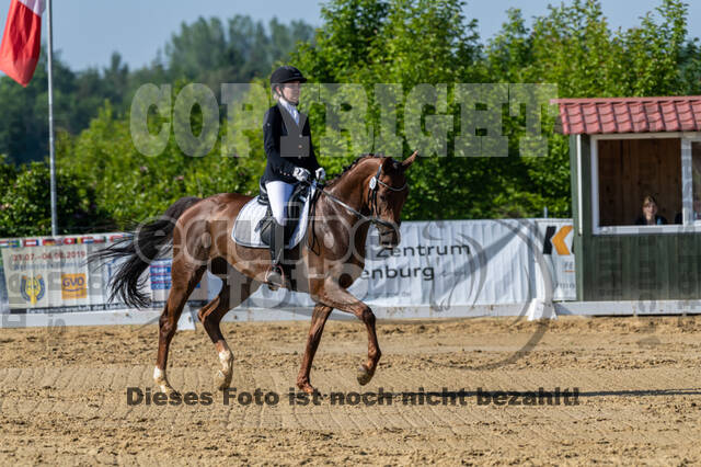 Westerstede Horse Trials 2021