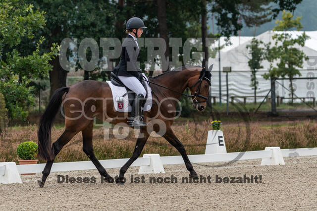 Deutsche Meisterschaft Vielseitigkeit (Luhmühlen)