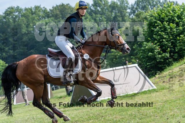 Goldene Schärpe 2021 - Ponys