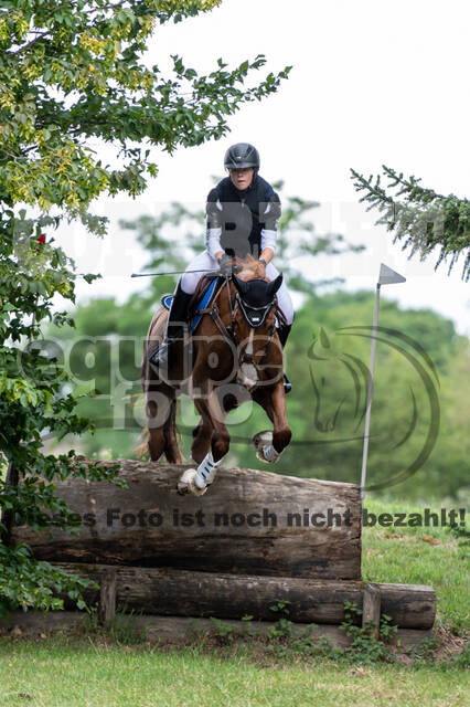 Late-Entry-Vielseitigkeit Langenfeld (11.+13./14.06.2020)