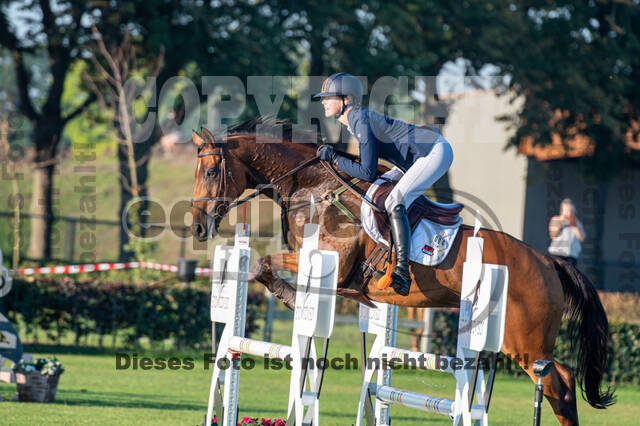 De Peelbergen (August 2020)