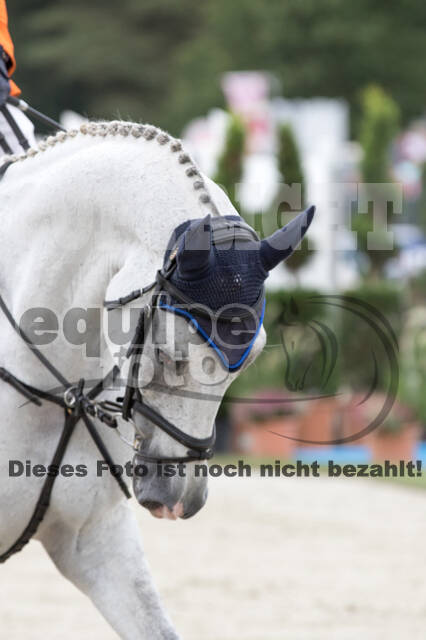 FEI European Championship Eventing 2019