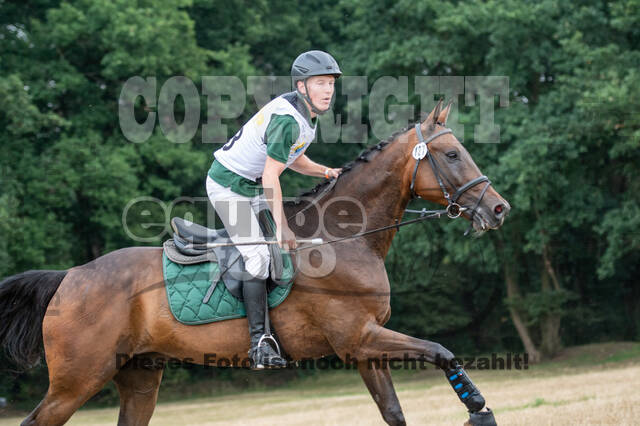 Late-Entry Vielseitigkeit Hamminkeln/Wesel (01.+02.08.2020)