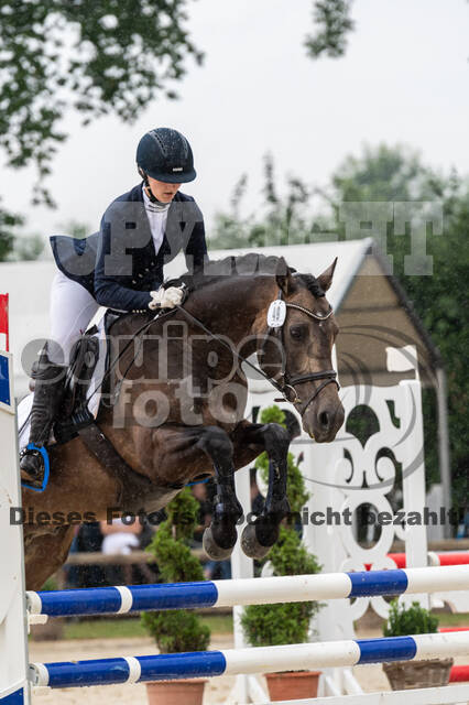 Goldene Schärpe 2021 - Ponys