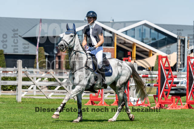 Kronenberg - De Peelbergen (August 2020)