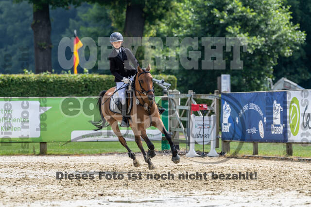 Goldene Schärpe 2021 - Ponys