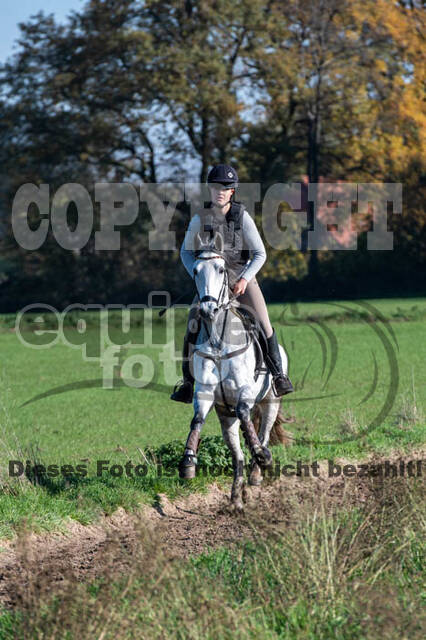 Vielseitigkeitslehrgang mit Jürg Kurbel (9.+10.11.2019)