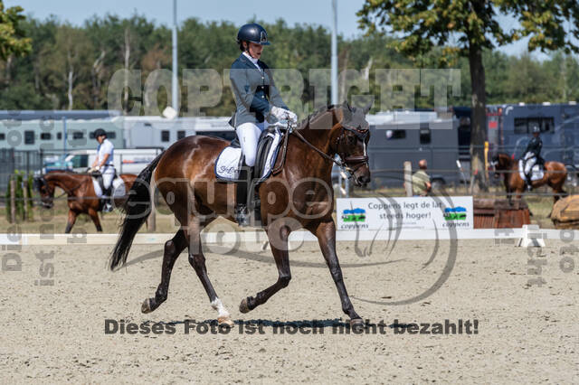 Kronenberg - De Peelbergen (August 2020)