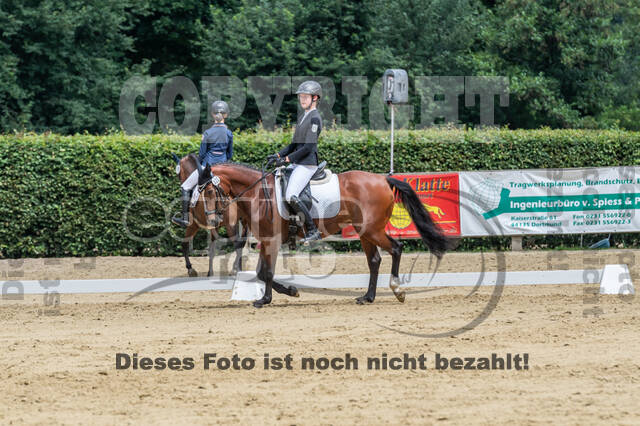 Goldene Schärpe 2021 - Ponys