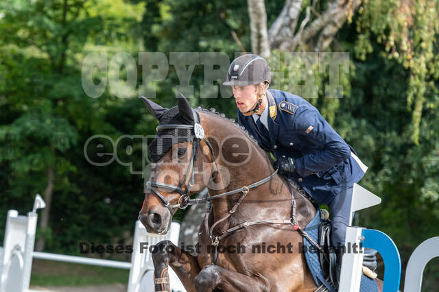 Late-Entry-Vielseitigkeit Langenfeld (06.+07.07.2020)