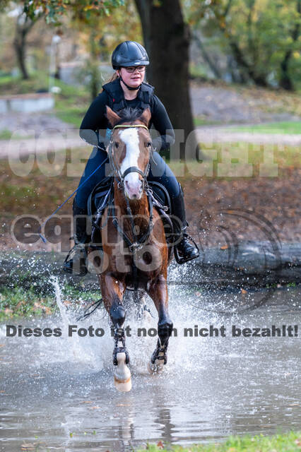 IGV Lehrgang der Sieger der Cups mit Frank Ostholt