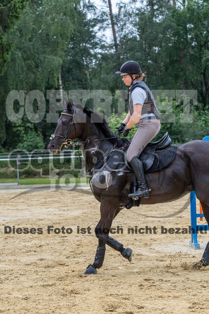 Hunter Geländetraining 10.07.2021 (Sonsbeck)