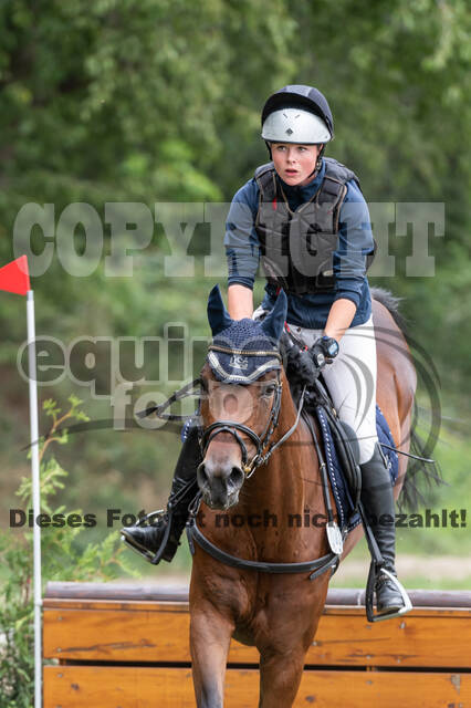 Late-Entry-Vielseitigkeit Langenfeld (06.+07.07.2020)