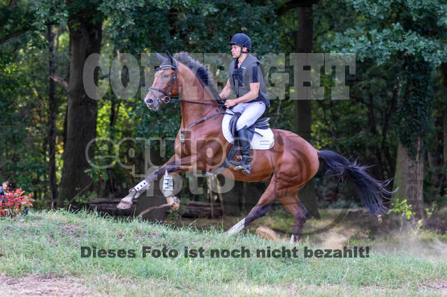 Late-Entry Vielseitigkeit Hamminkeln/Wesel (01.+02.08.2020)