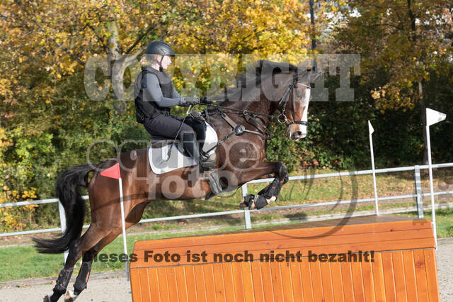 IGV Lehrgang der Sieger der Cups mit Frank Ostholt