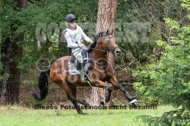 Vielseitigkeit RSV Wesel Obrighoven (26.+27.09.2020)