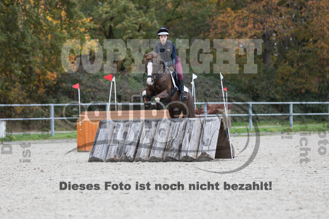 IGV Lehrgang der Sieger der Cups mit Frank Ostholt