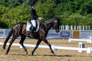 Westerstede Horse Trials 2021