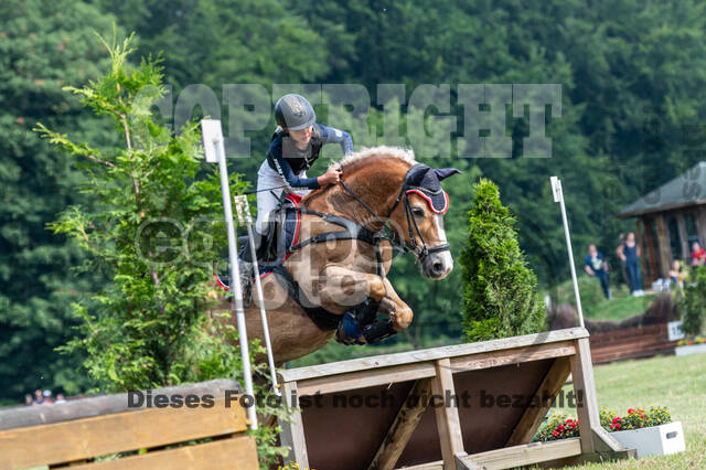 Goldene Schärpe 2021 - Ponys