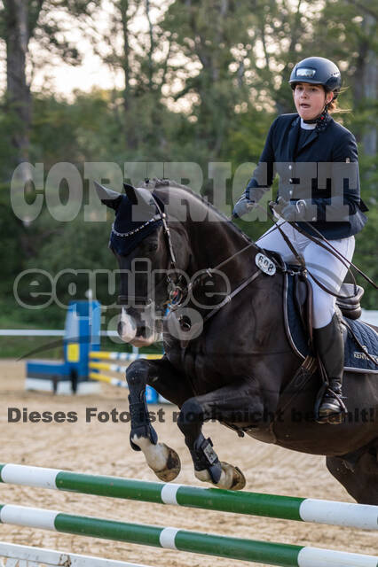 RFV Dinslaken-Hiesfeld (Herbstturnier)