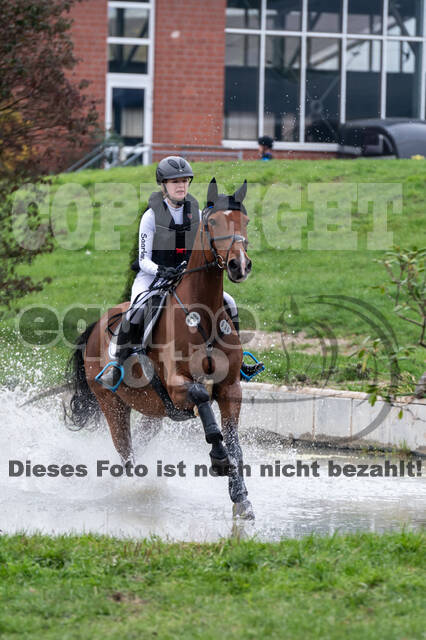 Goldene Schärpe 2020 - Pferde