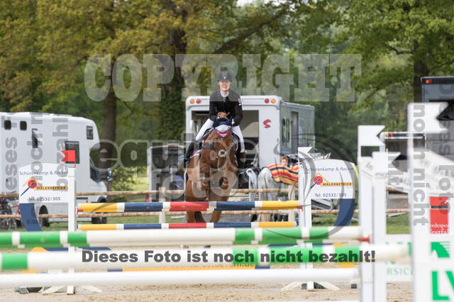 Sterne über Münster 2019 - CCI***S