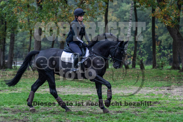 Training Bettina Hoy (01.11.2020)