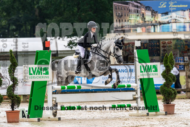 Goldene Schärpe 2021 - Ponys