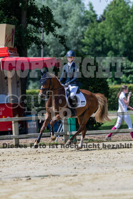 Goldene Schärpe 2021 - Ponys