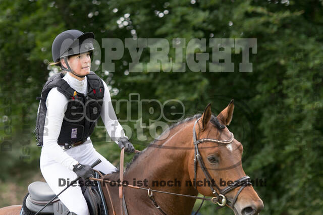 Eventing im Pferdesportzentrum Rheinland