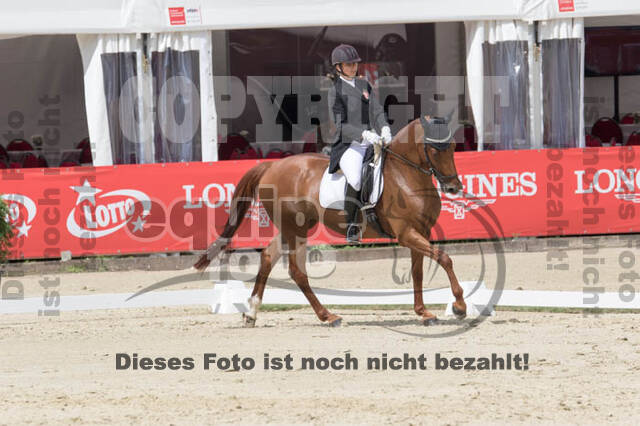 FEI European Championship Eventing 2017