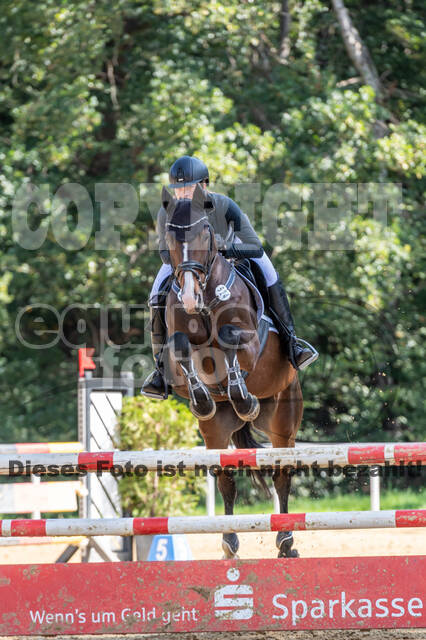 RFV Dinslaken-Hiesfeld (Herbstturnier)