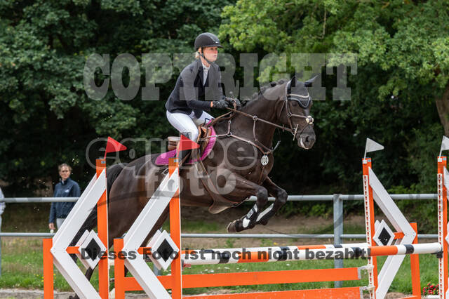 Late-Entry-Vielseitigkeit Langenfeld (06.+07.07.2020)