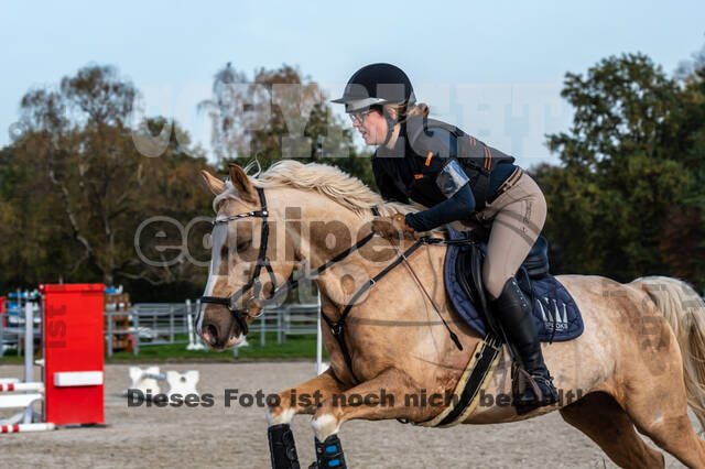 IGV Lehrgang der Sieger der Cups mit Frank Ostholt
