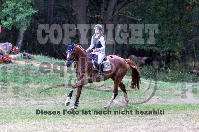 Late-Entry Vielseitigkeit Hamminkeln/Wesel (01.+02.08.2020)