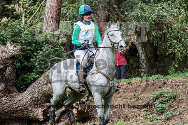 Vielseitigkeit RSV Wesel Obrighoven (26.+27.09.2020)