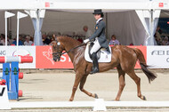 FEI European Championship Eventing 2017