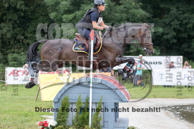 FEI European Championship