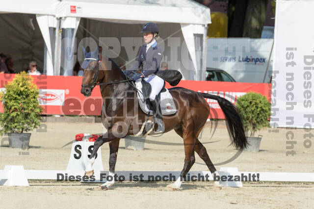 FEI European Championship Eventing 2017