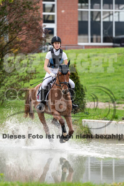 Goldene Schärpe 2020 - Pferde