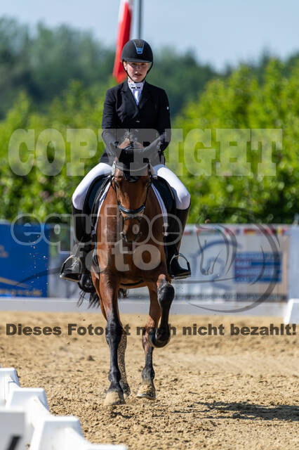 Westerstede Horse Trials 2021