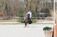 Eventing Langenfeld 2018